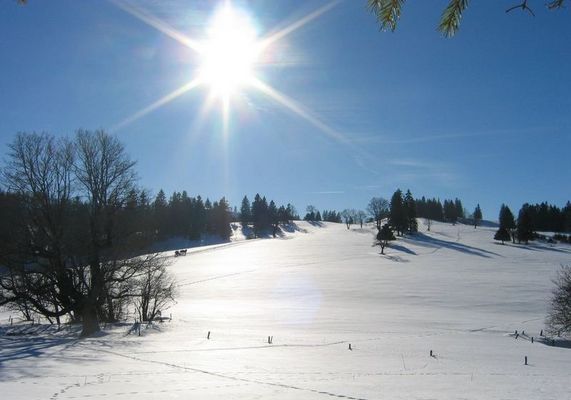 Gespann in grosser Landschaft (Jura CH)