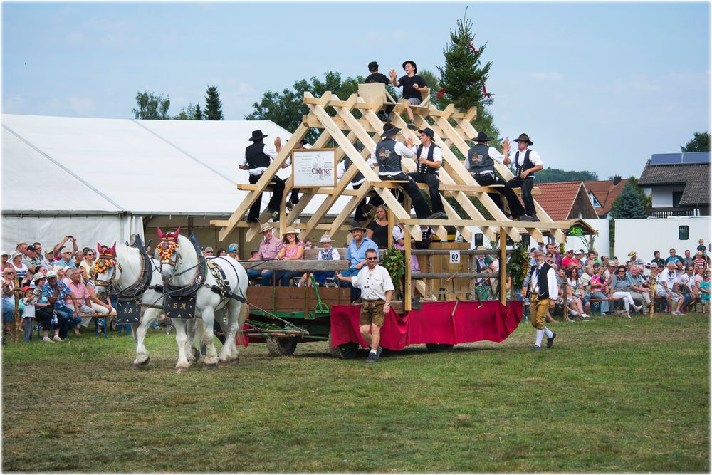 Gespann Percheron mit Zimmermannswagen