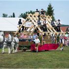 Gespann Percheron mit Zimmermannswagen