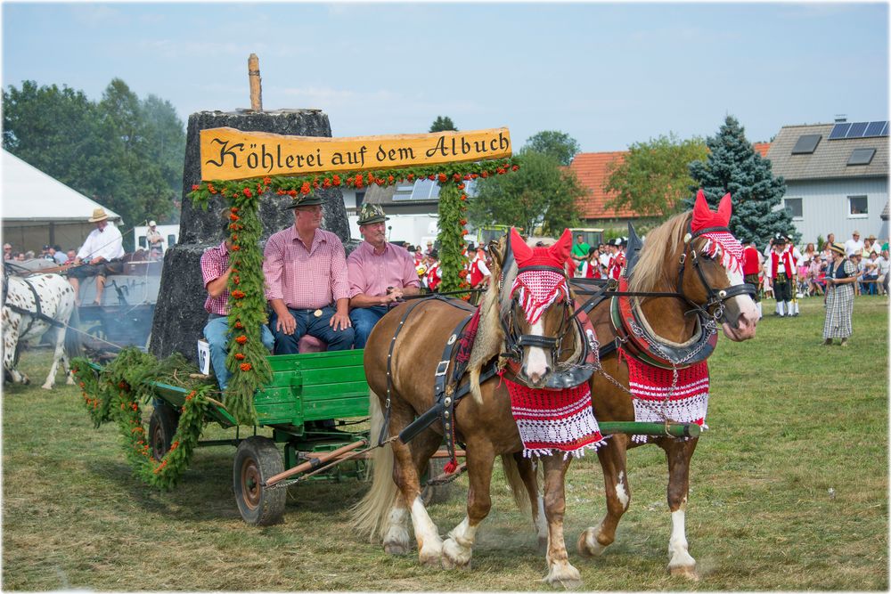 Gespann Süddeutsche mit Köhlerwagen