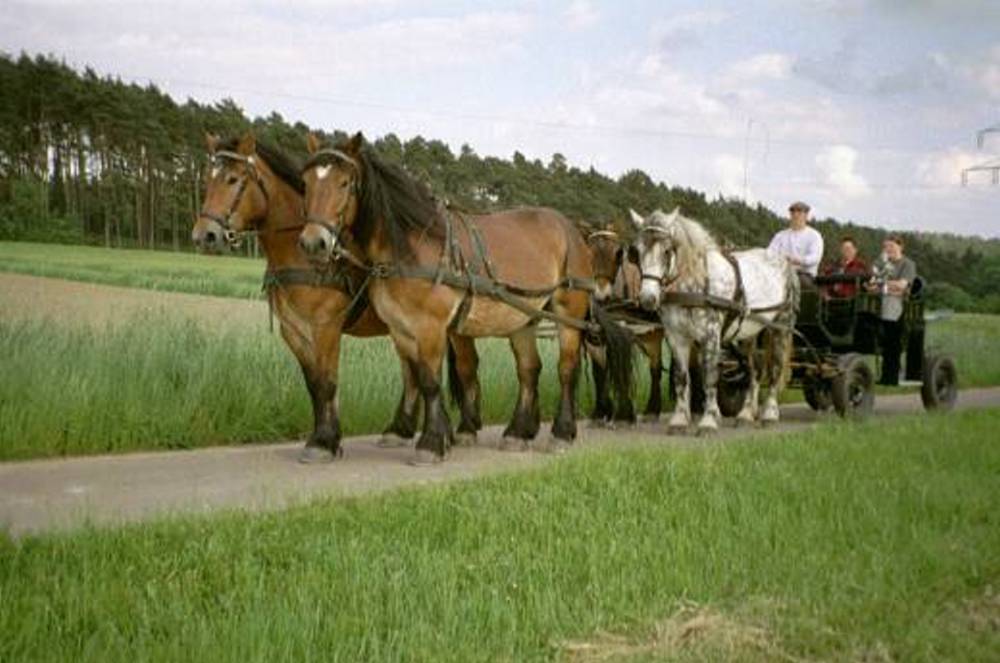 Gespannfahren