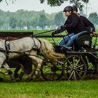 Gespannmeisterschaft NRW 2017