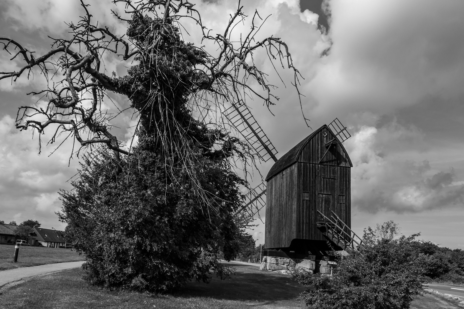 _Gespensterbaum und Bockwindmühle