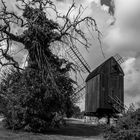 _Gespensterbaum und Bockwindmühle