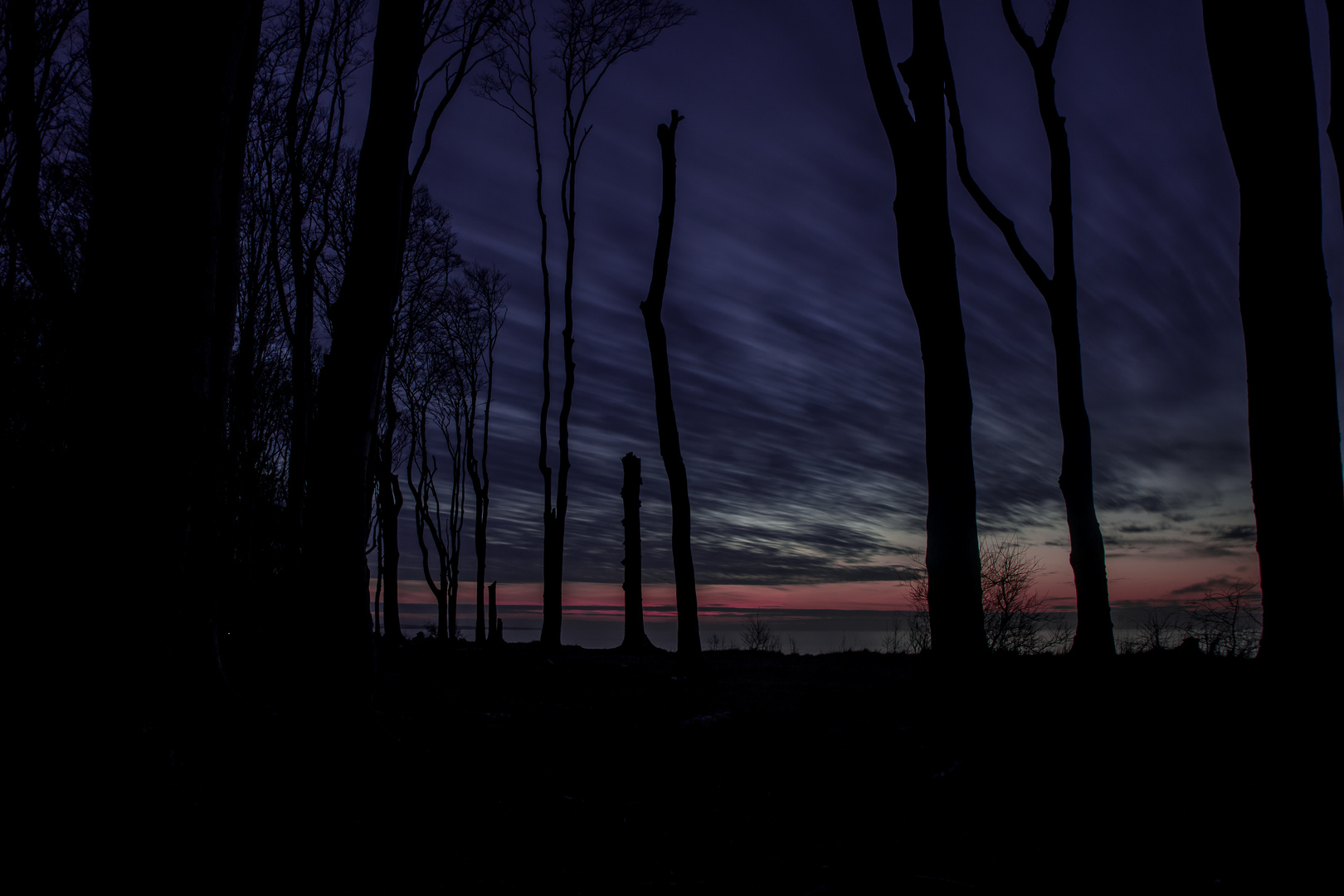 Gespensterwald beim Sonnenuntergang II