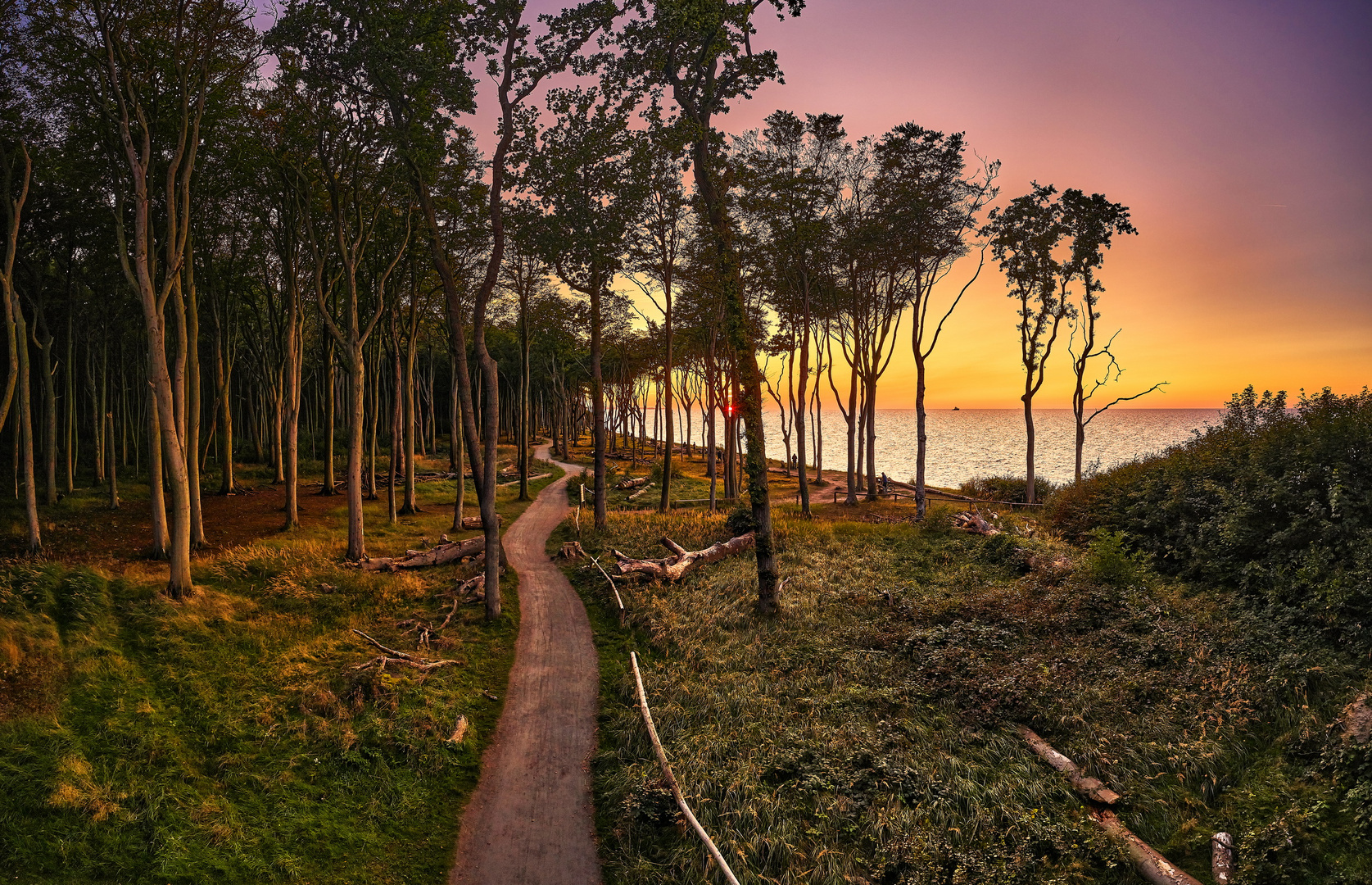 Gespensterwald im Sonnenuntergang