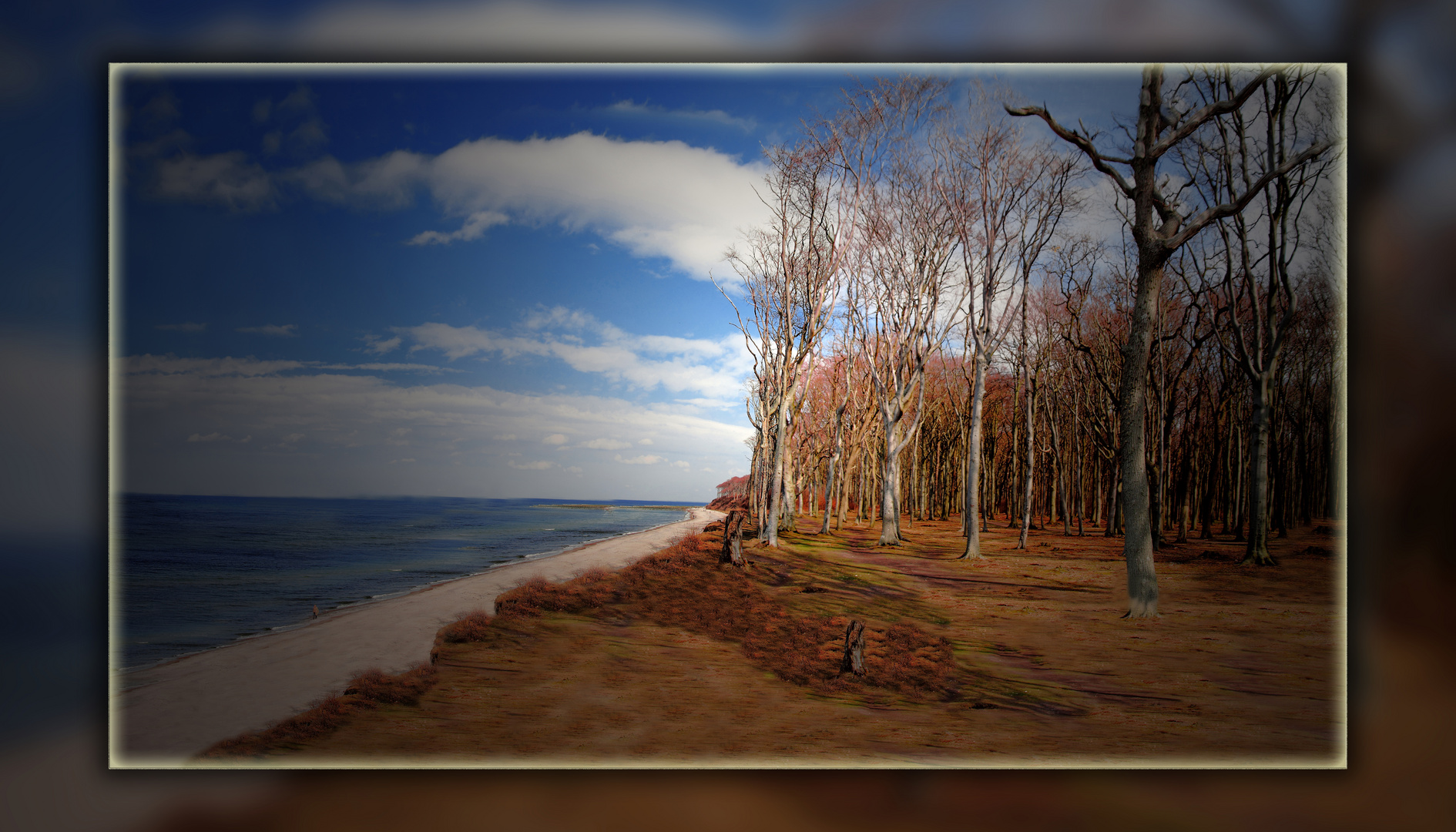 Gespensterwald mit Strand