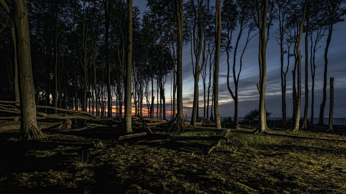 Gespensterwald Nienhagen