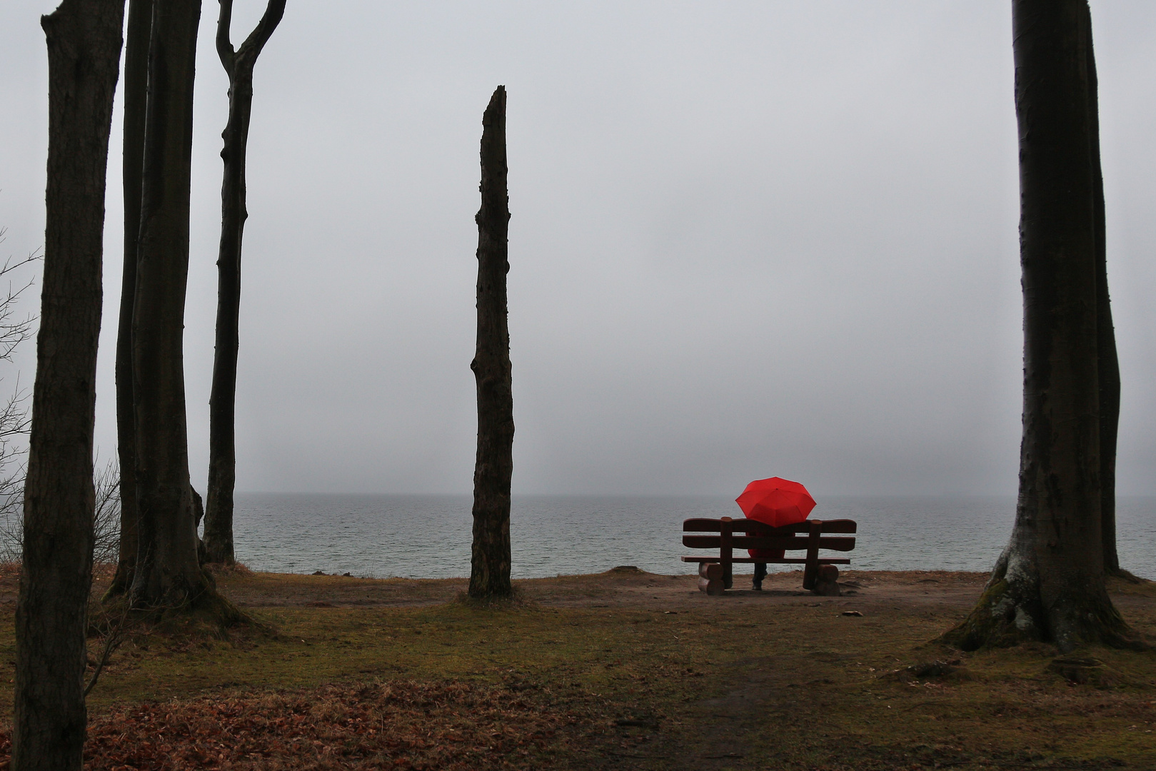 Gespensterwald Nienhagen   Schietwetter an der Ostseeküste