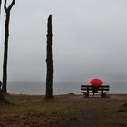 Gespensterwald Nienhagen   Schietwetter an der Ostseeküste