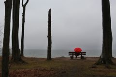 Gespensterwald Nienhagen   Schietwetter an der Ostseeküste