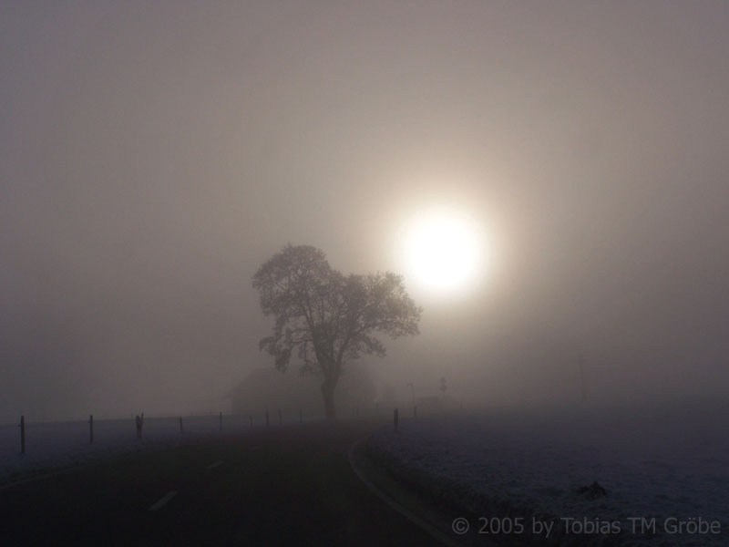 gespenstische Morgenstunden