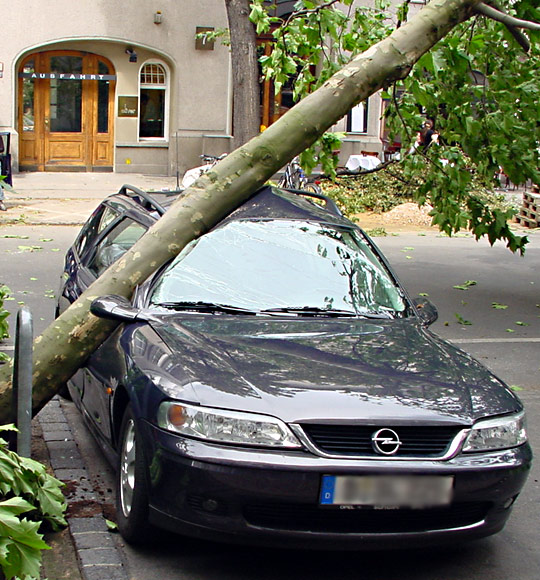 Gesperrte Ausfahrt - Berlin nach dem Sturm (9)