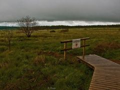 gesperrter Weg im Wallonischen Venn