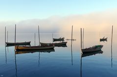 gespiegelt am Pfäffikersee (1142)