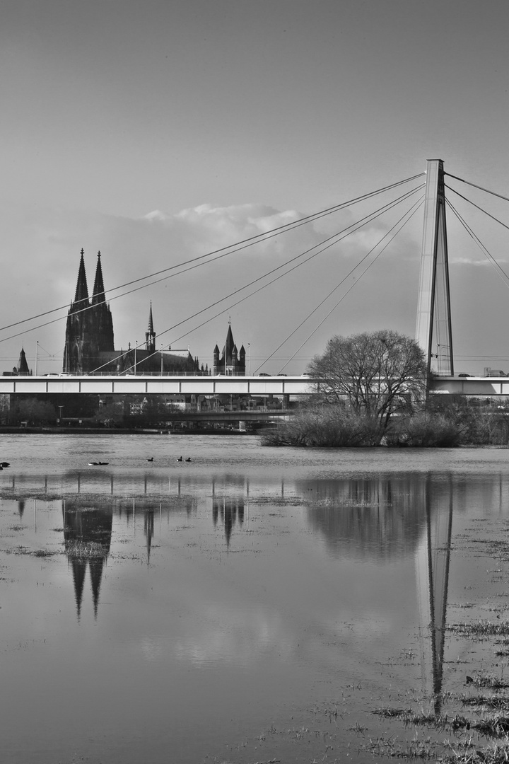 gespiegelt bei Hochwasser 