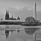 gespiegelt bei Hochwasser 