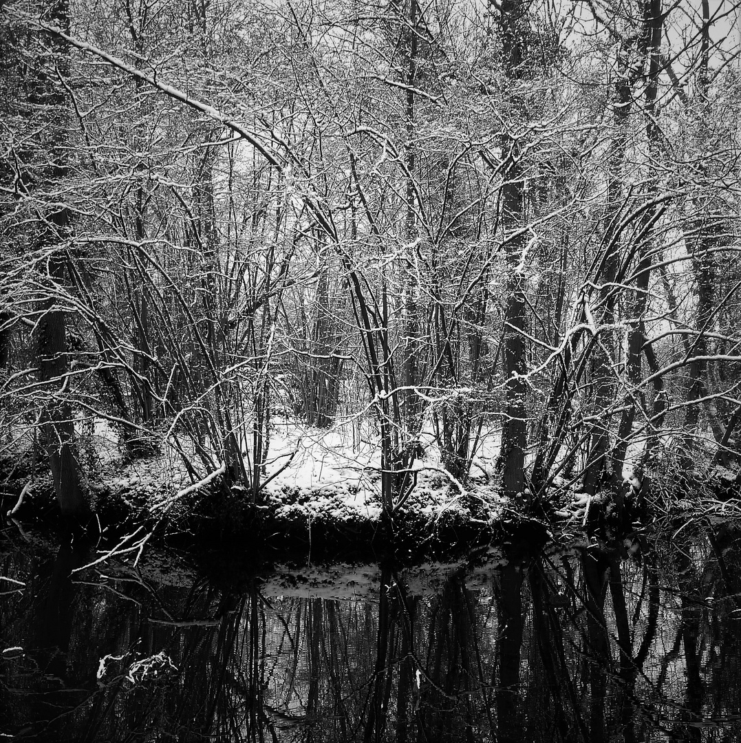 Gespiegelt - Gräfte im Rumphorstviertel im Winter 2019