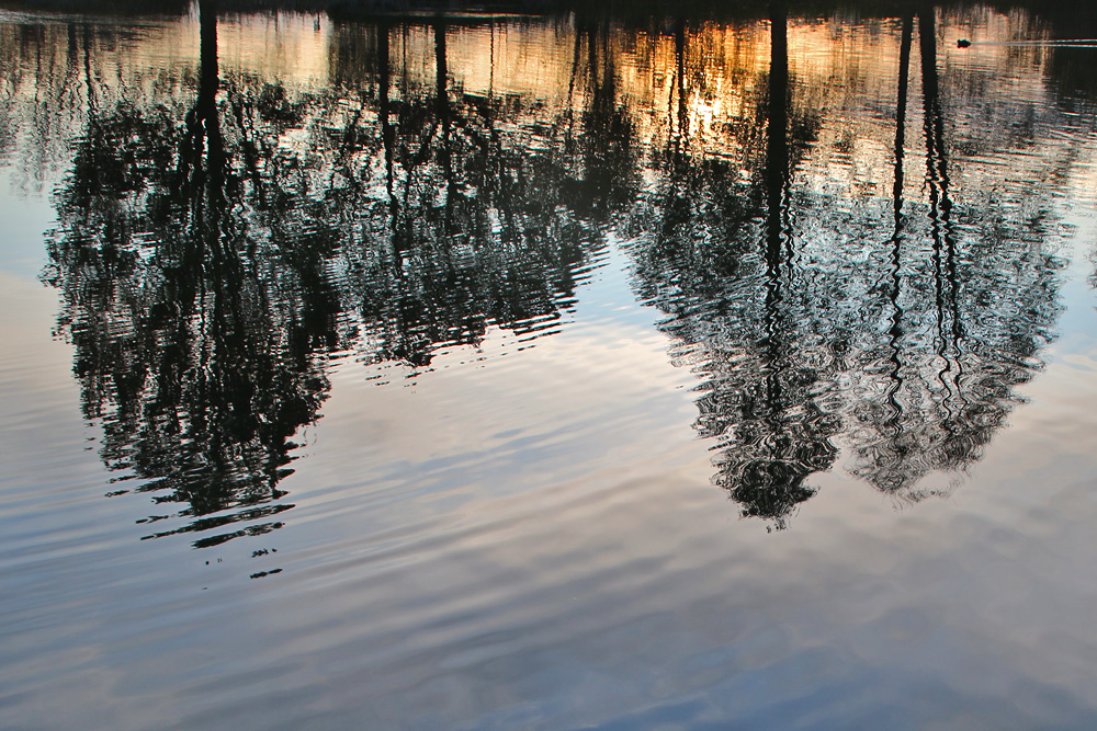 gespiegelt im Wasser