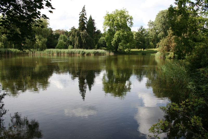 gespiegelt - Schlosspark Wiesenburg