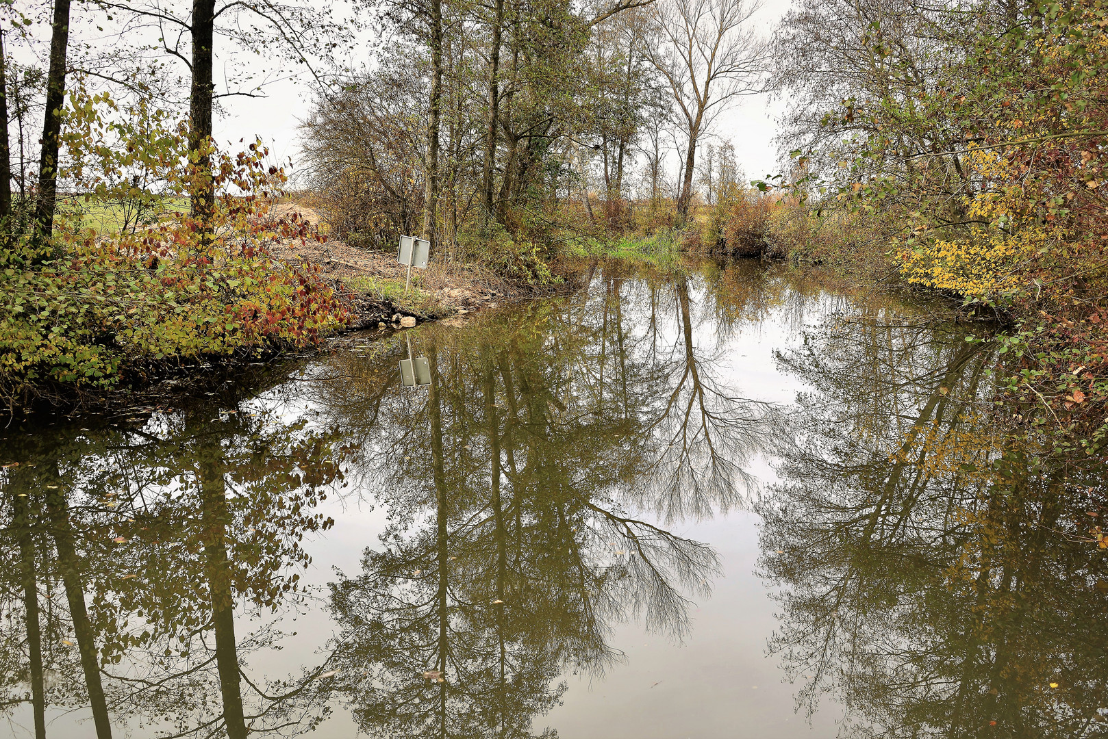 gespiegelte Bäume  im Altmühlsee 