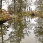 gespiegelte Bäume  im Altmühlsee 