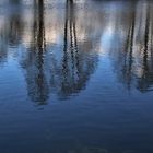 gespiegelte Bäume im Weiher