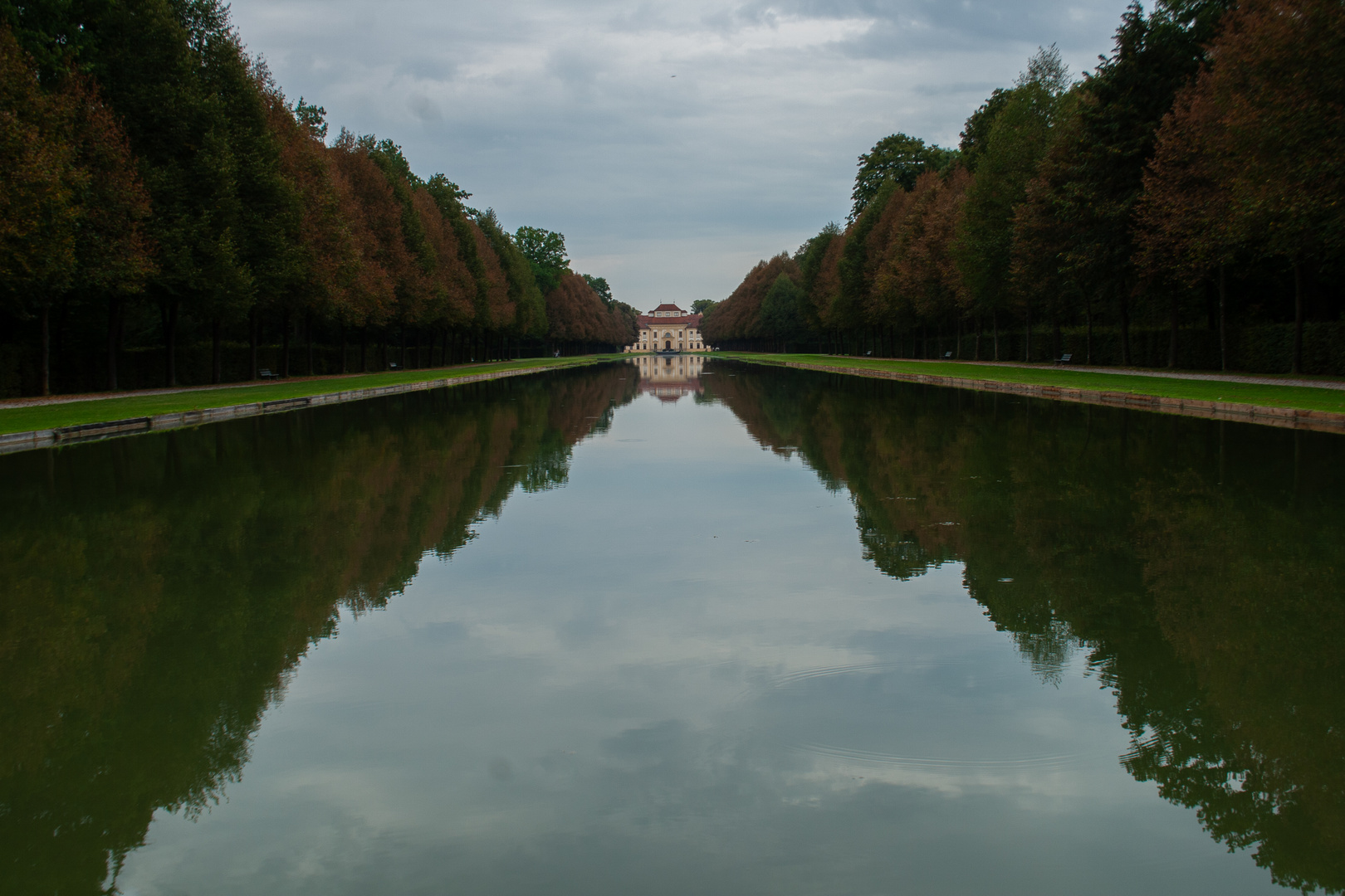 Gespiegelte Baumallee