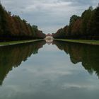 Gespiegelte Baumallee