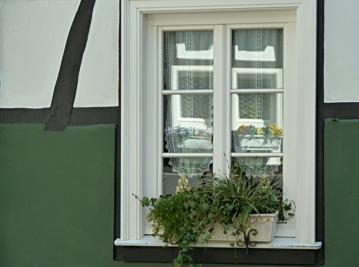 gespiegelte Blumenfenster