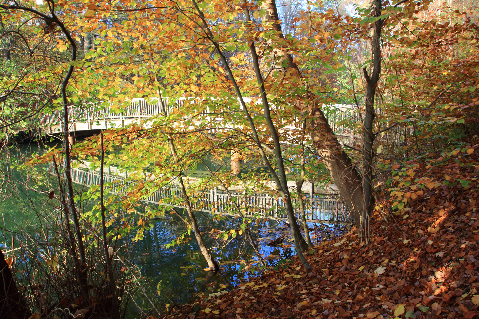 Gespiegelte Brücke