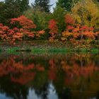 Gespiegelte Farbenpracht des Herbstes