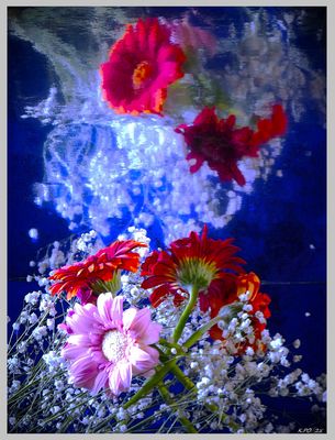 GEspiegelte Gerbera und Schleierkraut