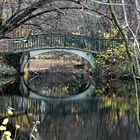 Gespiegelte Herbstimpression