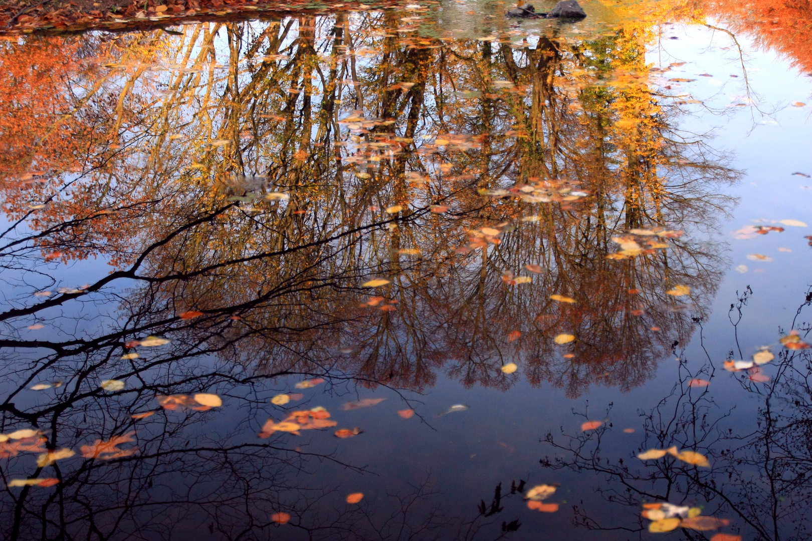 Gespiegelte Herbststimmung