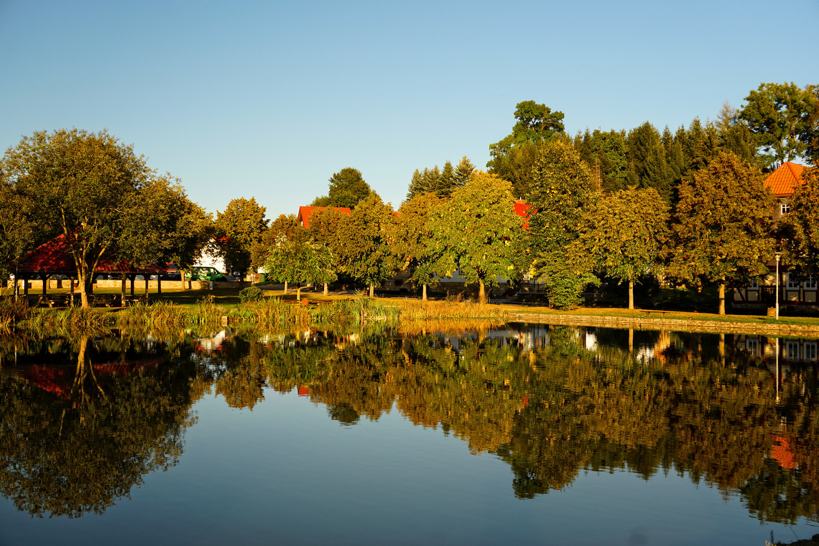 Gespiegelte Herbststimmung am Teich im eichsfeldischen Kirchohmfeld - Bild 2