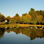 Gespiegelte Herbststimmung am Teich im eichsfeldischen Kirchohmfeld - Bild 2