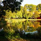 Gespiegelte Herbststimmung am Teich im eichsfeldischen Kirchohmfeld