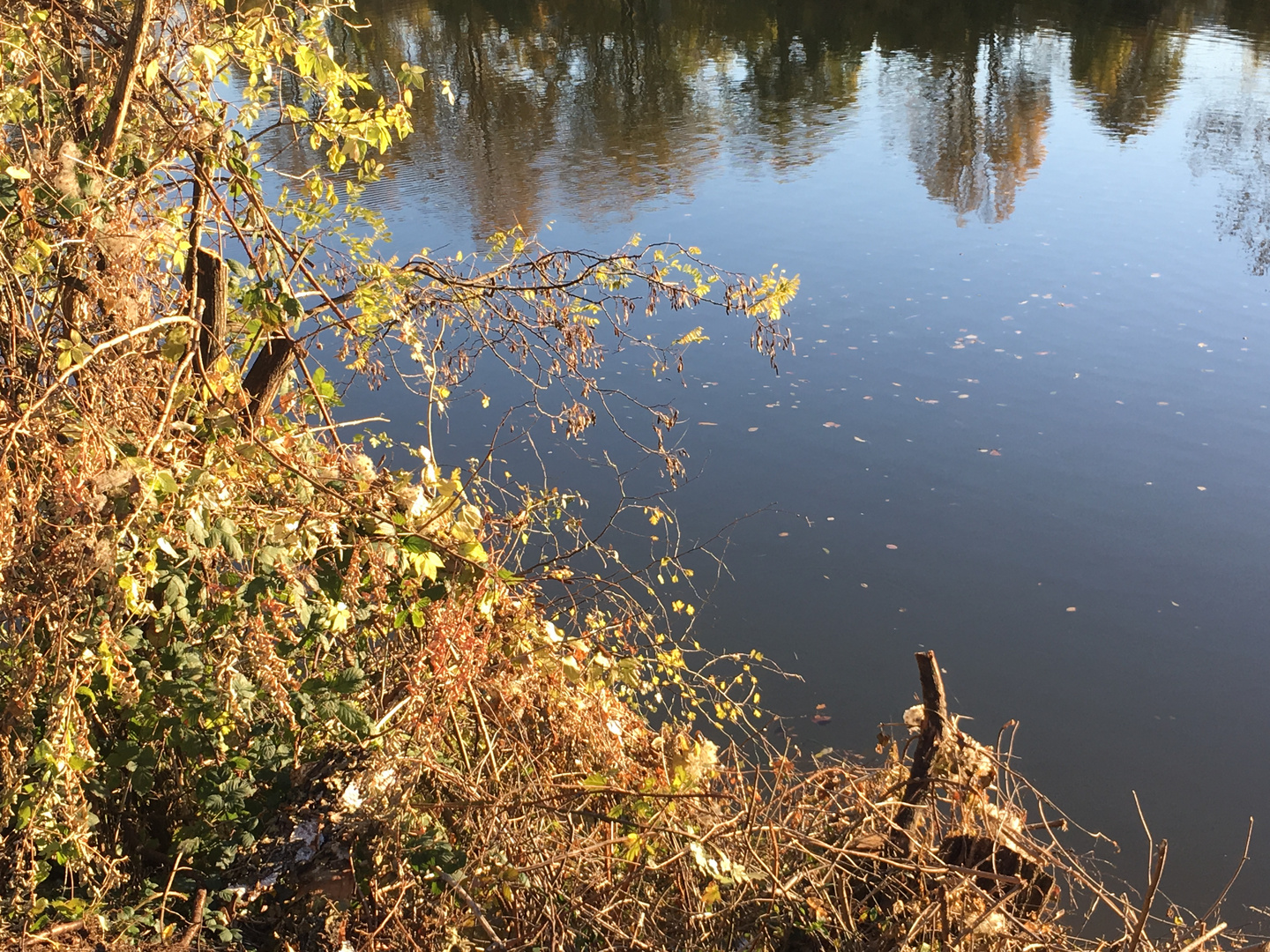 gespiegelte Herbstwelten