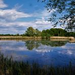 Gespiegelte Idylle - Die Rieselfelder in Münster