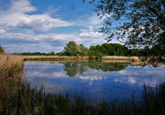 Gespiegelte Idylle - Die Rieselfelder in Münster
