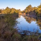 Gespiegelte Moorlandschaft