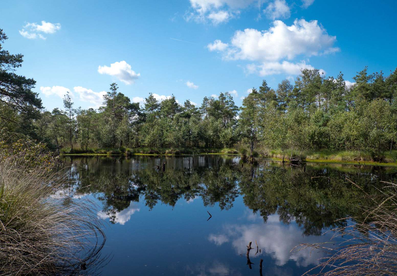 gespiegelte Moorlandschaft