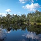 gespiegelte Moorlandschaft