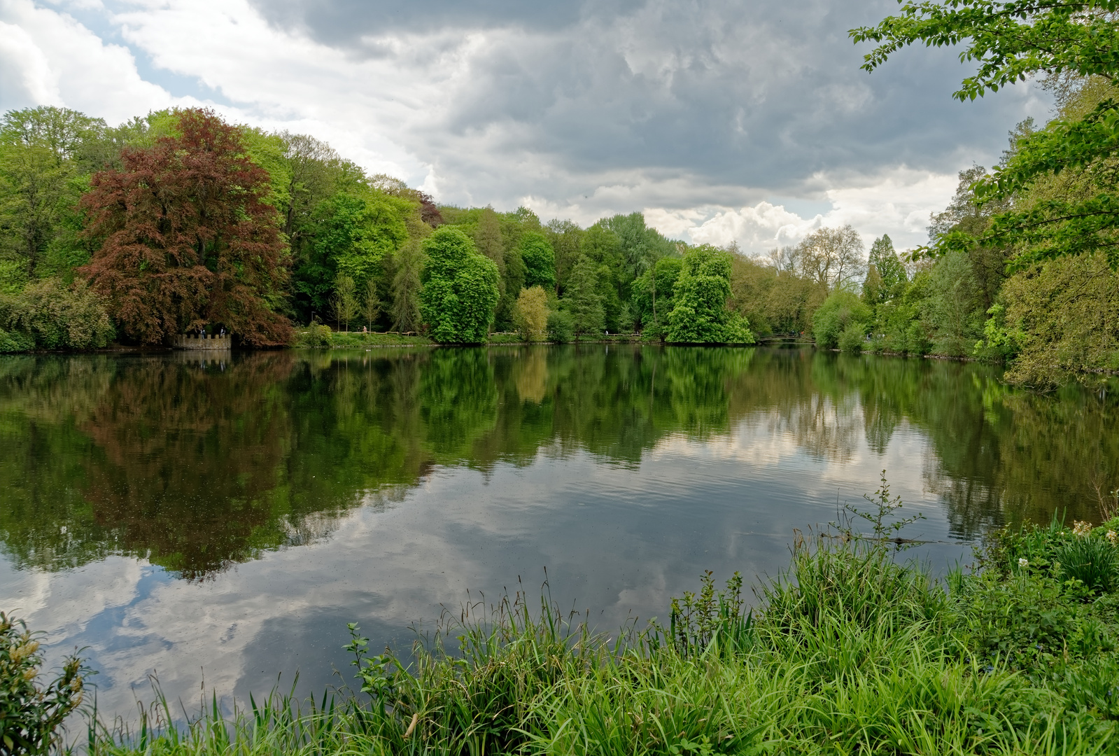 gespiegelte Natur