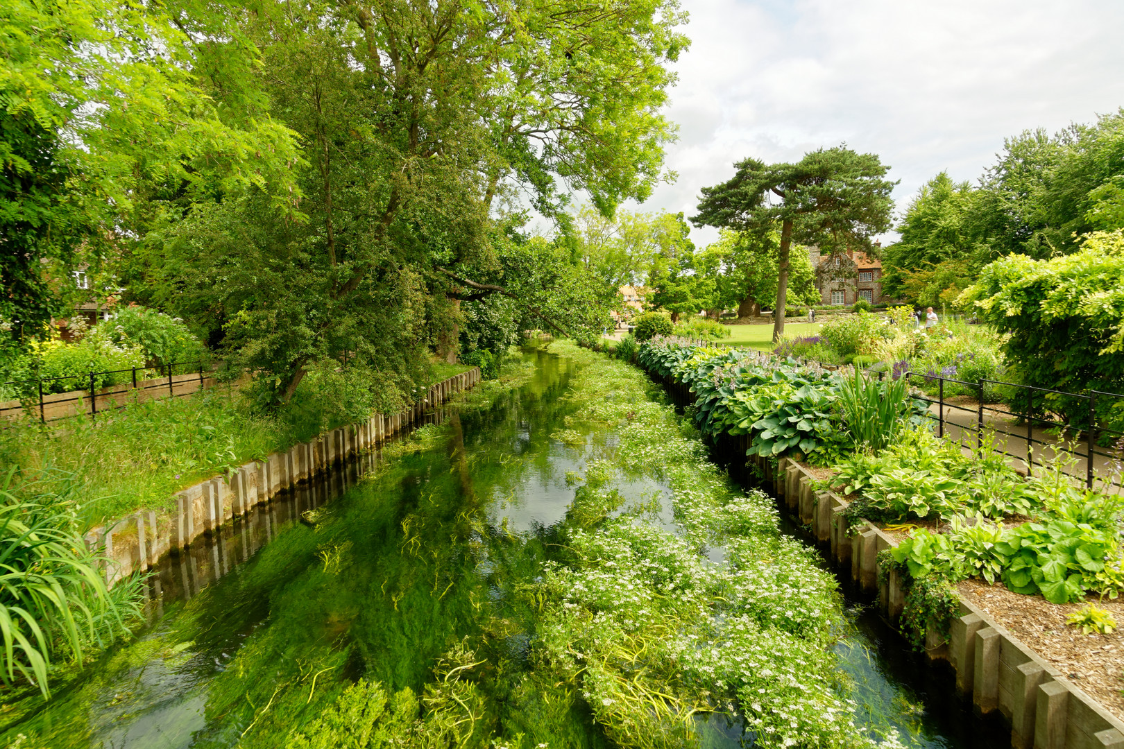 Gespiegelte Natur in Canterbury