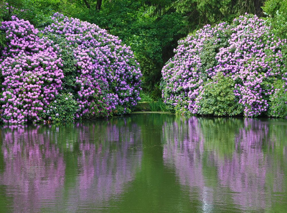 Gespiegelte Rhodos