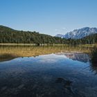 Gespiegelte Schönheit Ferchensee