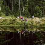 Gespiegelte Wanderschar...