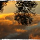 Gespiegelte Wolken im Schiedersee